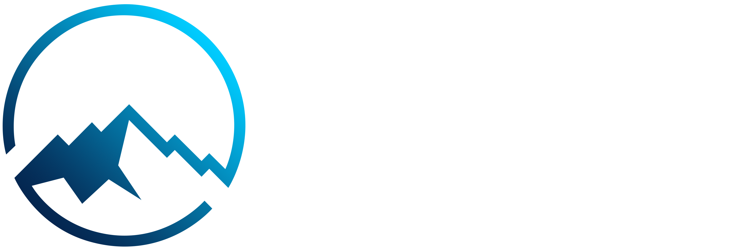 Snow Fall Logo
